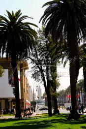 Image du Maroc Professionnelle de  Le Boulevard Mohammed V situé au Centre ville de Rabat est considéré comme la plus belle avenue du Maroc. Celle-ci nécessite une véritable rénovation. le 2 Mars 2007. (Photo / Abdeljalil Bounhar)